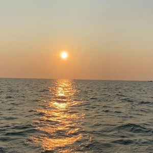 成人黄色软件下载
